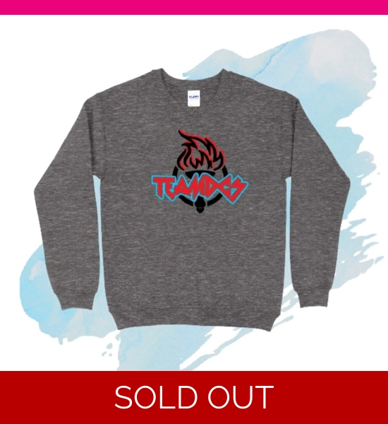 TEAMDCS 2020 large Gildan Sweatshirt